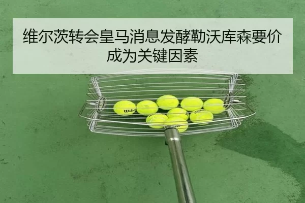 维尔茨转会皇马消息发酵勒沃库森要价成为关键因素